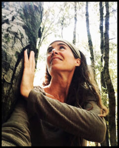 alisuntrees